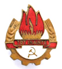 INSIGNA ORGANIZATIEI PIONIERILOR DIN RPR TOT INAINTE 1949 1955 PIONIER PIONIERI