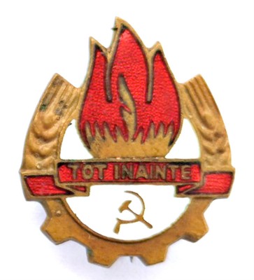 INSIGNA ORGANIZATIEI PIONIERILOR DIN RPR TOT INAINTE 1949 1955 PIONIER PIONIERI foto