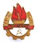 icon 1