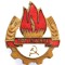 INSIGNA ORGANIZATIEI PIONIERILOR DIN RPR TOT INAINTE 1949 1955 PIONIER PIONIERI