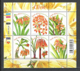 Africa de Sud.2006 Flori-coala mica DF.251