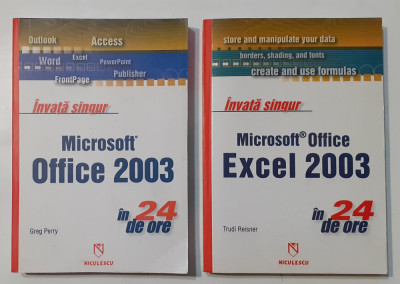 Invata Singur Microsoft Office 2003 In 24 de ore + Excel 2003 (2 Carti) foto