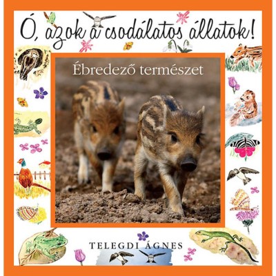 &amp;Oacute;, azok a csod&amp;aacute;latos &amp;aacute;llatok! - &amp;Eacute;bredező term&amp;eacute;szet - Telegdi &amp;Aacute;gnes foto