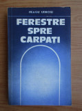 Neagu Udroiu - Ferestre spre Carpati