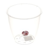 Ghiveci din plastic Miltonia, pentru orhidee, transparent, D 16.3 cm