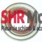 SIMERING STIHL: MS 240, 260, 261, 340, 341, 360, 361, 362, 441, 460 (PARTEA DREAPTA)(15X29.6X4) - (1 PIESA) , Calitatea II .