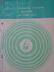 CRESTEREA INTENSIVA A PASARILOR PE LANGA CASA-ION VANCEA foto