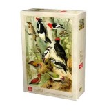 Puzzle adulti Deico Encyclopedia Puzzle - Birds, 1000 piese