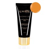 Cumpara ieftin Polygel REVOMAX GEL LUXORISE Pumpkin Spice, 15ml