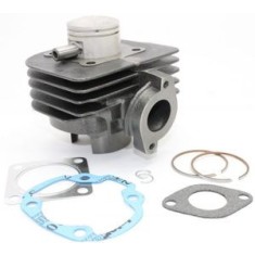 Set motor Aprilia Habana - Atala - Italjet Formula - Malaguti Crosser - Suzuki AD - TGB 2T AC 50cc D41 mm bolt 10 mm