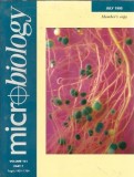 Cumpara ieftin Micriobiology Society for General Microbiology 1995