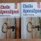 Cheile Apocalipsei (2 volume) - Stephen Kaung