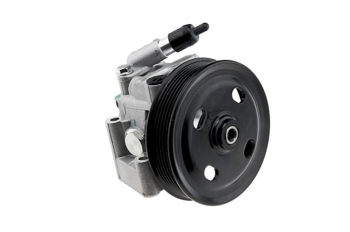 Pompa servodirectie Ford Motor 2.0ecoboost Galaxy, S-Max 2006-, Mondeo 4 2007-, NTY SPW-FR-025