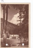 AMS - ILUSTRATA 1327, TUSNAD - STRANDUL , ANUL 1953, cu perforari