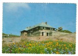 CPIB 20475 CARTE POSTALA - MUNTII BUCEGI. CABANA &quot;BABELE&quot;, DANTELATA