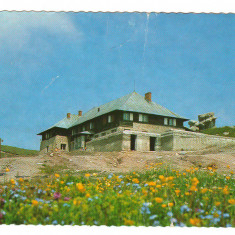 CPIB 20475 CARTE POSTALA - MUNTII BUCEGI. CABANA "BABELE", DANTELATA