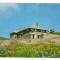CPIB 20475 CARTE POSTALA - MUNTII BUCEGI. CABANA &quot;BABELE&quot;, DANTELATA