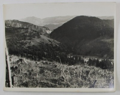TRECATOARE PRINTRE MUNTI , FOTOGRAFIE , PERIOADA INTERBELICA foto