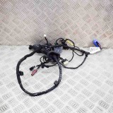 Cablaj ușă dreapta față MASERATI LEVANTE SUV M161 2023 OEM: 670101362,06701013620 21101864