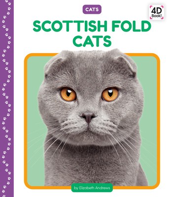 Scottish Fold Cats foto