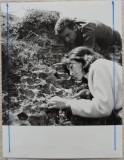 Dealul cu melci din Muntii Apuseni// fotografie de presa