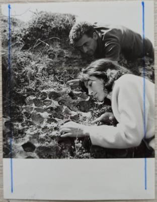 Dealul cu melci din Muntii Apuseni// fotografie de presa foto