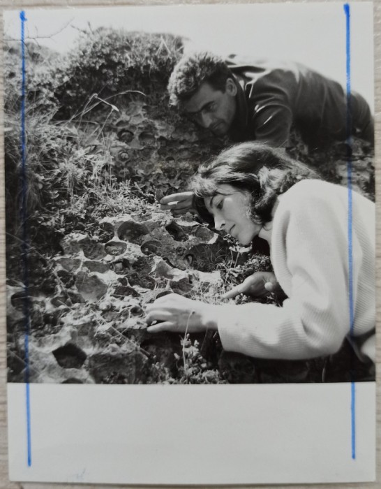 Dealul cu melci din Muntii Apuseni// fotografie de presa