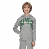 Hanorac Champion COLLEGE HOODY