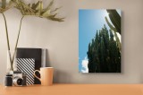 Tablou Canvas, "Cactuși impozanți sub cerul senin", Cactuși, Soare, Cer, Verde, Colțuros, Umbre, Natură, &Icirc;nalt., 26 x 39 cm, CMCLASS