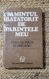 Puia Florica Rebreanu - Pamantul batatorit de parintele meu