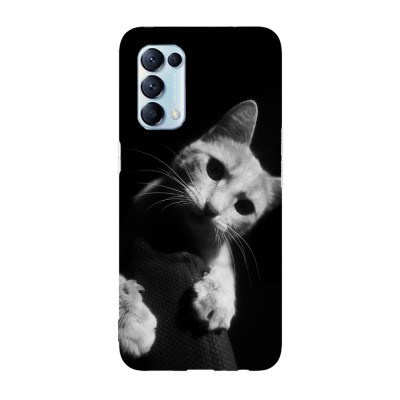 Husa compatibila cu Oppo A74 model curious cat, Silicon, TPU, Viceversa foto