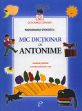 Mic dicționar de Antonime. Gramatică și poezii. Un &icirc;ndreptar pentru copii - Hardcover - Passionaria Stoicescu - Prut