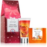 Organique Naturally Good Gift Frost &amp; Fire set cadou de Crăciun de maini