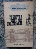 Povestea unui mic zdrentaros- James Greenwood