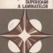 Ajustarea si prelucrarea superioara a laminatelor