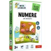 Joc educativ numere micul explorator, Trefl