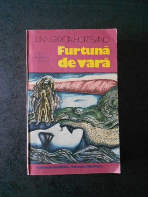 Juan Garcia Hortelano - Furtuna de vara foto