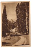 CPIB 16498 CARTE POSTALA - SINAIA/ FOISORUL, RPR LIBRARIA NOASTRA