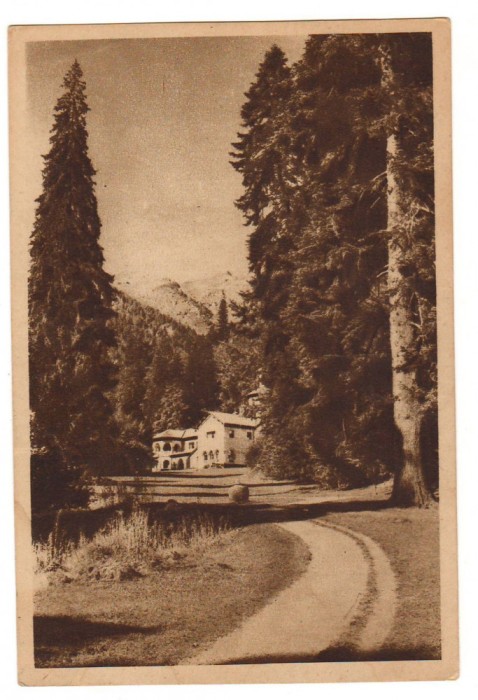CPIB 16498 CARTE POSTALA - SINAIA/ FOISORUL, RPR LIBRARIA NOASTRA
