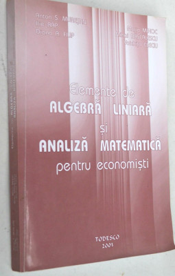 Elemente de algebra liniara si analiza matematica pentru economisti - 2003 foto