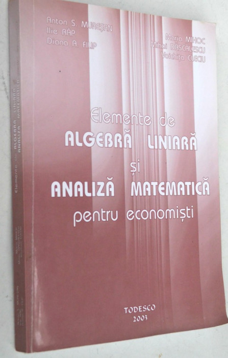 Elemente de algebra liniara si analiza matematica pentru economisti - 2003