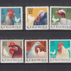 ROMANIA 1963 LP 560 PASARI DE RASA SERIE MNH