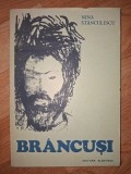 Brancusi- Nina Stanculescu
