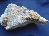 Arici de cuart cu calcopirita (CV2), Naturala