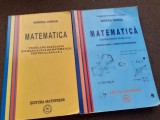 MIRCEA GANGA MATEMATICA CLASA A X A SET 2 VOLUME MANAUL SI PROBLEME REZOLVATE