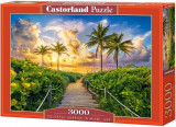 Puzzle 3000 piese Colorful Surise in Miami USA, castorland