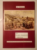 Gh. Nistorescu - Din plaiul Prahovei la Sinaia: istorie și contemporaneitate (1995)
