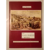 Gh. Nistorescu - Din plaiul Prahovei la Sinaia: istorie și contemporaneitate (1995)