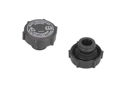 Buson radiator racire Jaguar Xj 1997-2003, Xk 2006-, X-Type 2001-2009, RapidAuto A8031 foto