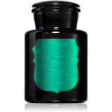 Paddywax Apothecary Noir Tabac &amp; Pine lum&acirc;nare parfumată 226 g